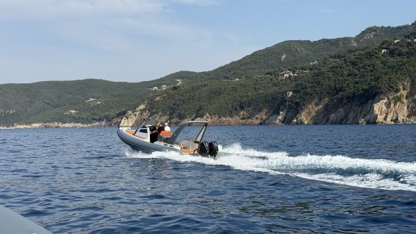 LED EAGLE 35 - immagine 2
